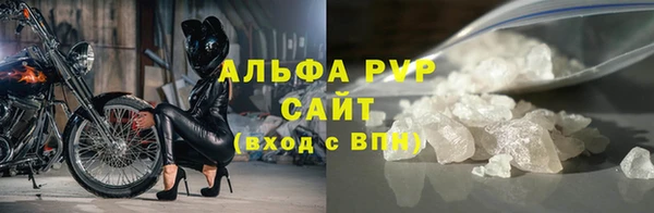 ПСИЛОЦИБИНОВЫЕ ГРИБЫ Бородино